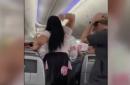 American Airlines passenger smashes laptop on partner's head in viral clip