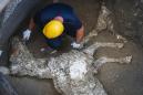 Pompeii excavation finds ancient thoroughbred racehorse