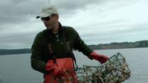 In Washington Waters, Diving for Lost Crab Pots