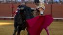 Spanish bullfighter gored to death in French ring