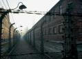 How the world discovered the Nazi death camps