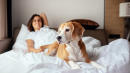 Women Sleep Better With Dogs Than With Human Partners, Study Says