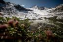 Scientists race to read Austria's melting climate archive