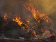 California wildfires: Trump declares major disaster as tens of thousands evacuate