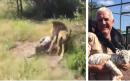 British safari park owner attacked by lion after entering South Africa enclosure in front of tourists