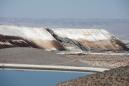'Tsunami' of toxic wastewater kills plants, animals in Israel's desert