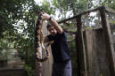 He Saved the Largest Venomous Snake in the Americas. Now, He Hopes It Could Save Human Lives.