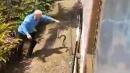 Australian snake catcher leaps to capture one of world's most venomous snakes in incredible video
