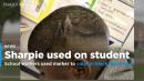 School workers who used Sharpie to color in black teen’s hair in Texas face lawsuit