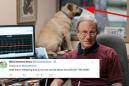 Man invents tsunami sensor, internet obsesses over his dog