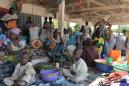 Cameroon expelled 2,600 Nigerians fleeing Boko Haram: UN