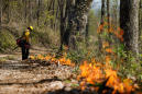 A Forecast for a Warming World: Learn to Live With Fire
