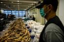 Hong Kong seizes 7.2 tonnes of ivory