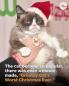 Grumpy Cat lives forever on the internet. These were some of her best memes