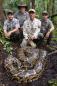 A Florida python named Elvis is helping stop the spread of the state's most notorious pest