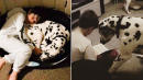 Dalmatians Help 8-Year-Old With Autism Read After He Previously Suffered Severe Meltdowns
