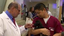Pet Therapy for Doctors and Nurses