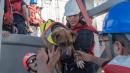 Navy Rescues 2 Sailors, 2 Dogs Stranded in Pacific Ocean for 5 Months