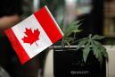 This new bill would legalize weed in Canada