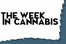 The Week In Cannabis: Aurora's Earnings Disappointment, Michigan's Great Week, And More