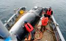 Japan to resume commercial whaling next year after pulling out of IWC