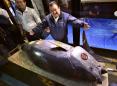 Record $  3.1 million paid in New Year's tuna auction at Japan's new market