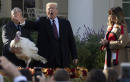 Trump pardons Peas and Carrots, the national Thanksgiving turkeys