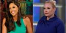 A CNN report said Abby Huntsman was leaving 'The View' over Meghan McCain's baby envy. McCain says that's sexist.
