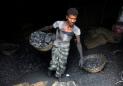Exclusive: Modi's office proposes waiving carbon tax on coal