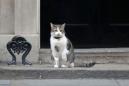 Officer, please let this patient and rather important cat into 10 Downing Street
