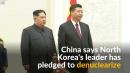 China says N.Korea's Kim pledges denuclearisation during visit