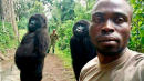 Congolese park ranger captures heartwarming selfie with orphaned gorillas