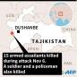 Fifteen IS jihadists killed in Tajikistan border attack