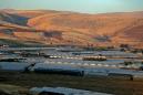 Palestinians unveil Jordan Valley fund as annexation looms