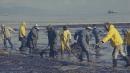 50 years after the Santa Barbara oil spill: How the catastrophe sparked a modern environmental movement
