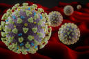J&J's Chief Scientific Officer predicts vaccinations against coronavirus within 12 months