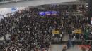 Hong Kong Protesters Bring Airport to Standstill as Anger Grows Over Police Violence