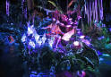 A look at Disney World's new Pandora-World of Avatar land