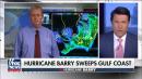 Hurricane Barry sweeps through the Gulf Coast, makes landfall
