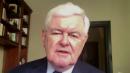Gingrich: The mob rule in large parts of America can't be sustained