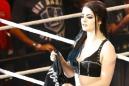 WWE Diva Paige's Fiancé Investigated In Domestic Abuse Case