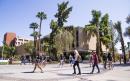 Arizona State University gets dissed in college bribery scandal court documents