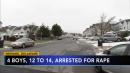 4 boys, ages 12 to 14, arrested for rape in Delaware