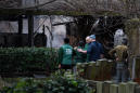 London Zoo Staff Are Still Searching for 4 Meerkats After a Fire Broke Out