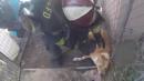 California Firefighters Rescue Dog Trapped in Backyard of Burning Home