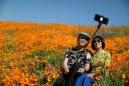 Poppy apocalypse: Crowds descend on California city to see 'superbloom'