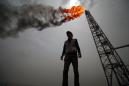 Iraq on track to be third oil supplier in 2030: IEA