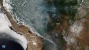The Amazon is burning and smoke from the fires can be seen from space