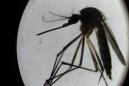 Michigan residents urged to stay indoors as scientists race to deal with threat of rare mosquito-borne disease