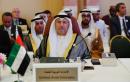 UAE minister calls Saudi-UAE coalition a strategic necessity in Yemen